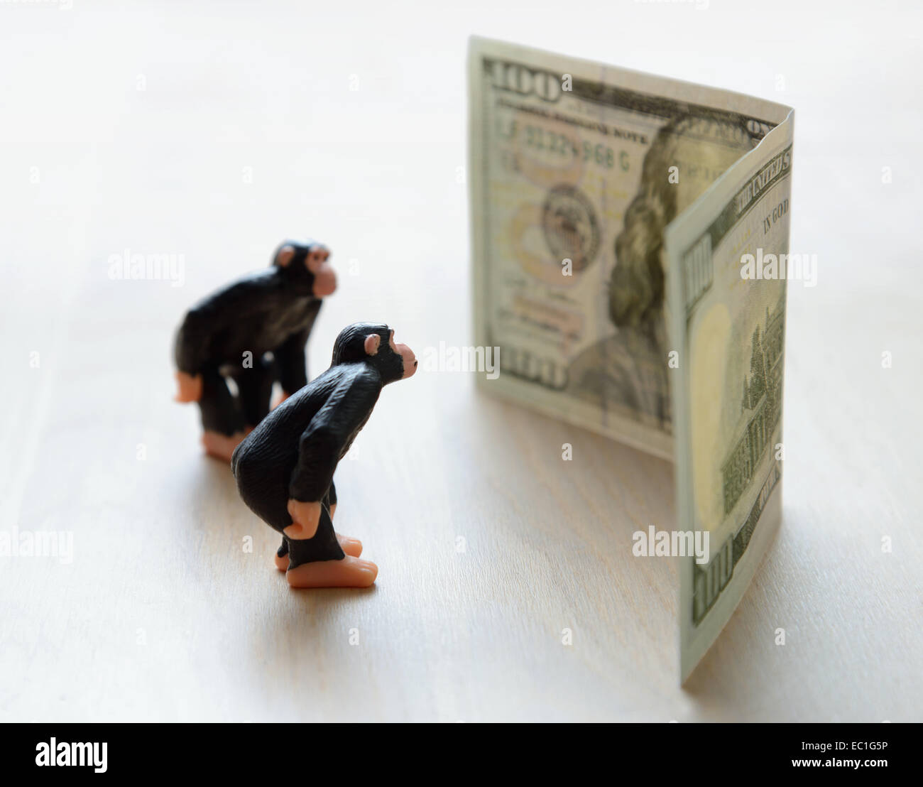 monkey and money Stock Photo Alamy