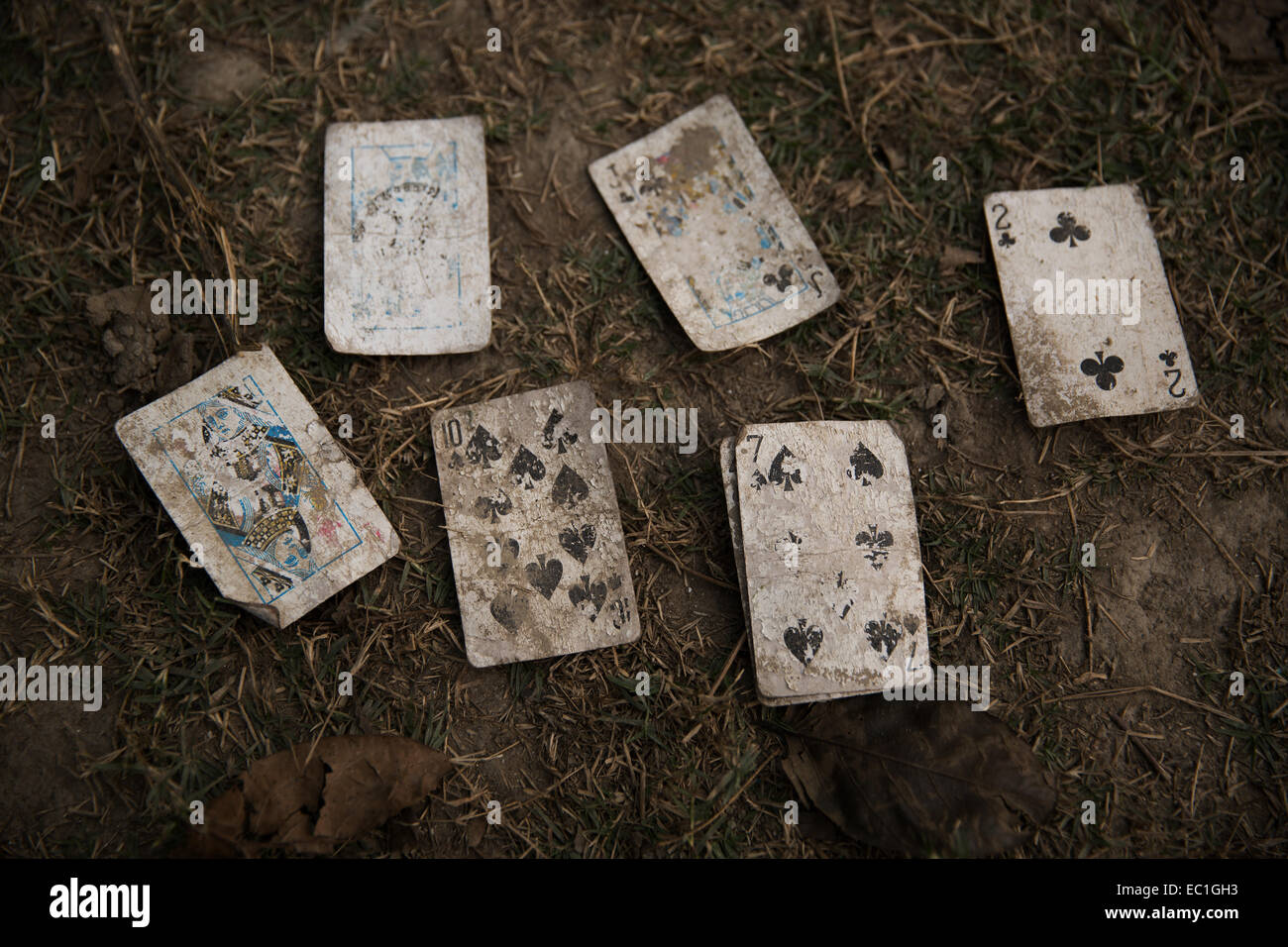 Old playing cards washed up on the riverbank of the Yamuna river, Agra, India. January 2014. Stock Photo