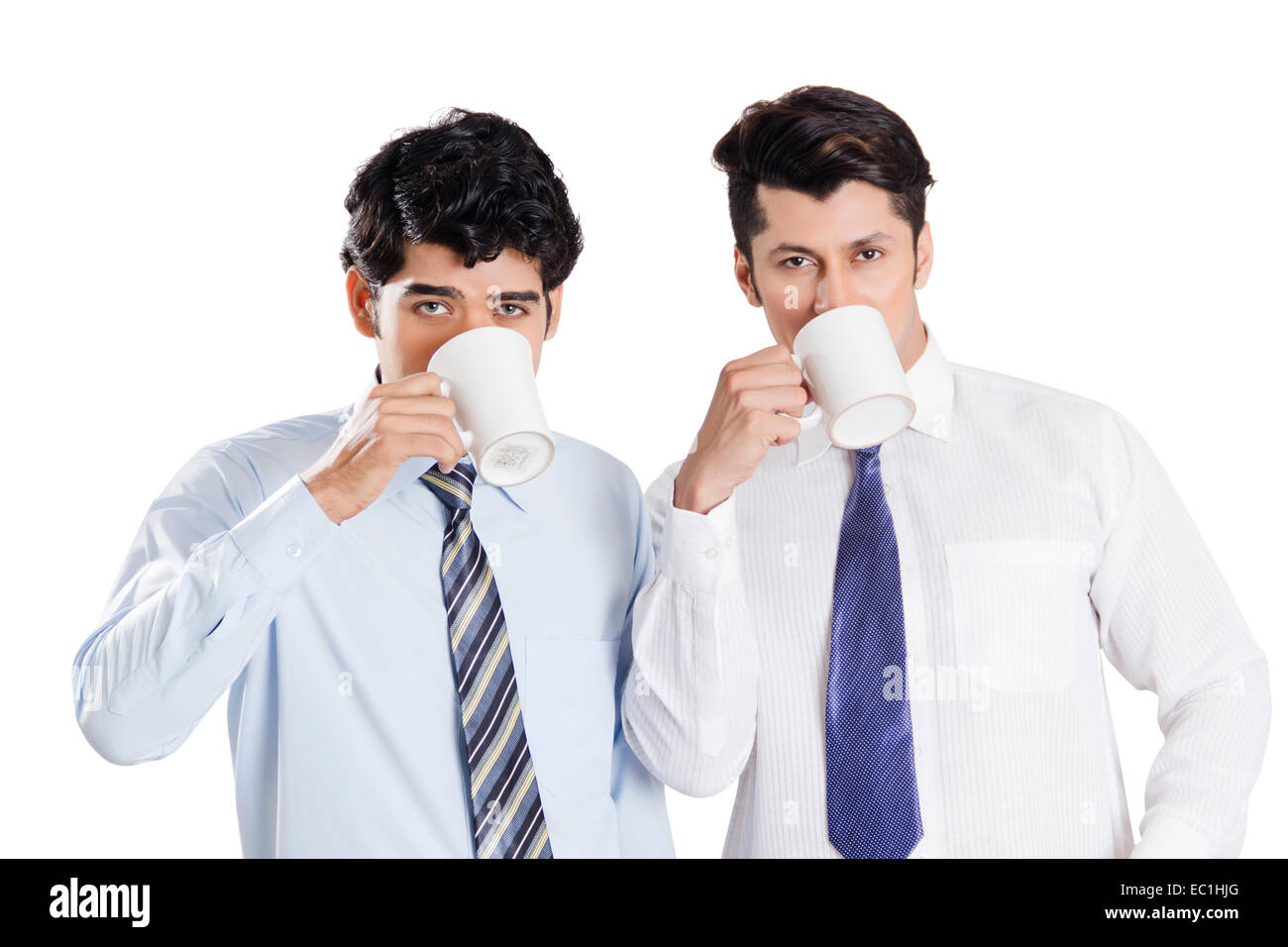 BUSINESS PARTNER MEANING IN HINDI visual data 7