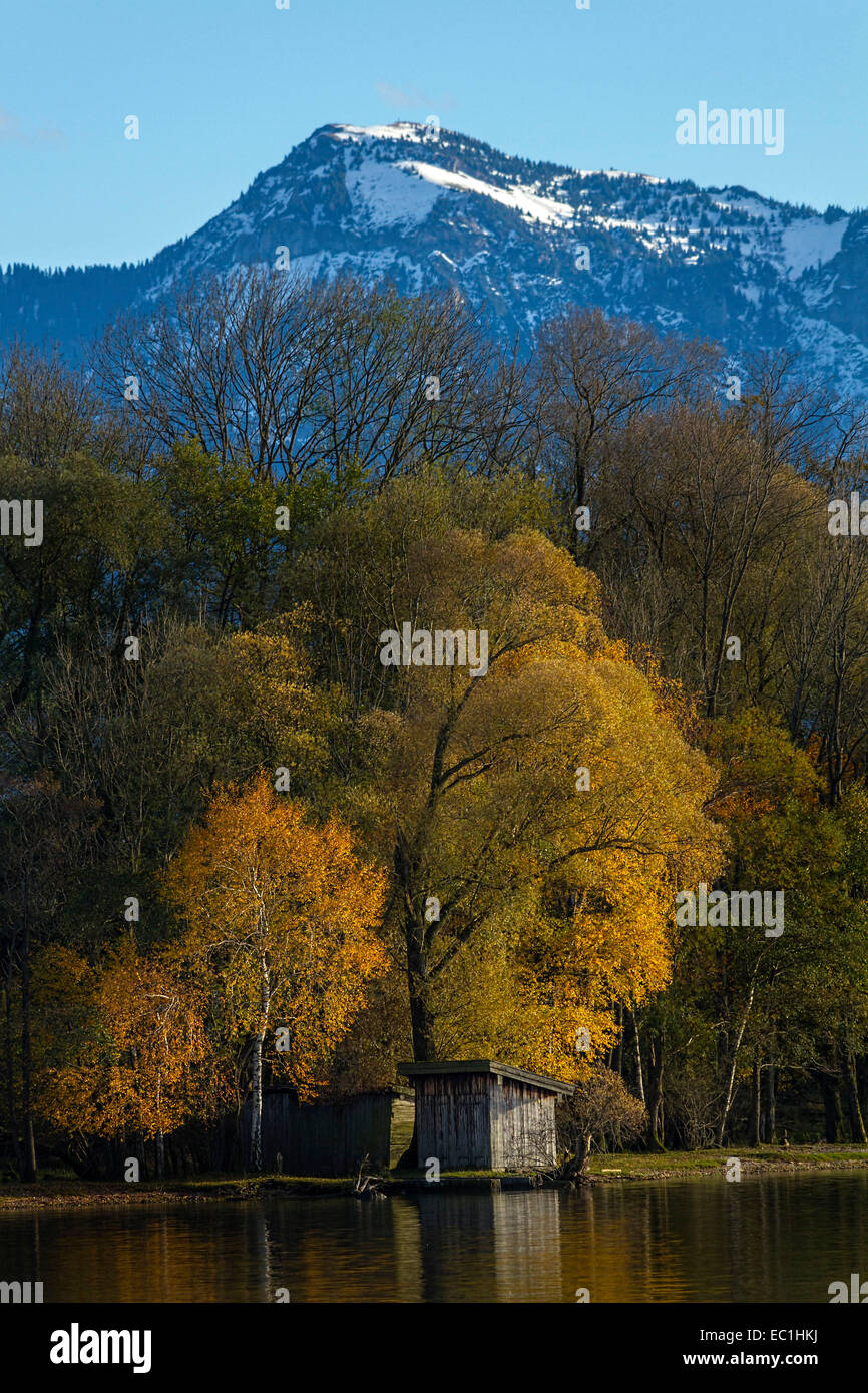 Autumn Trees on Cabbage Island with Hochgern mountain, Chiemsee