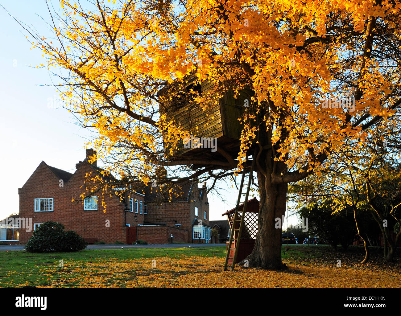 Cobtree Manor, Dingley Dell, Allington, Maidstone,Kent. A once