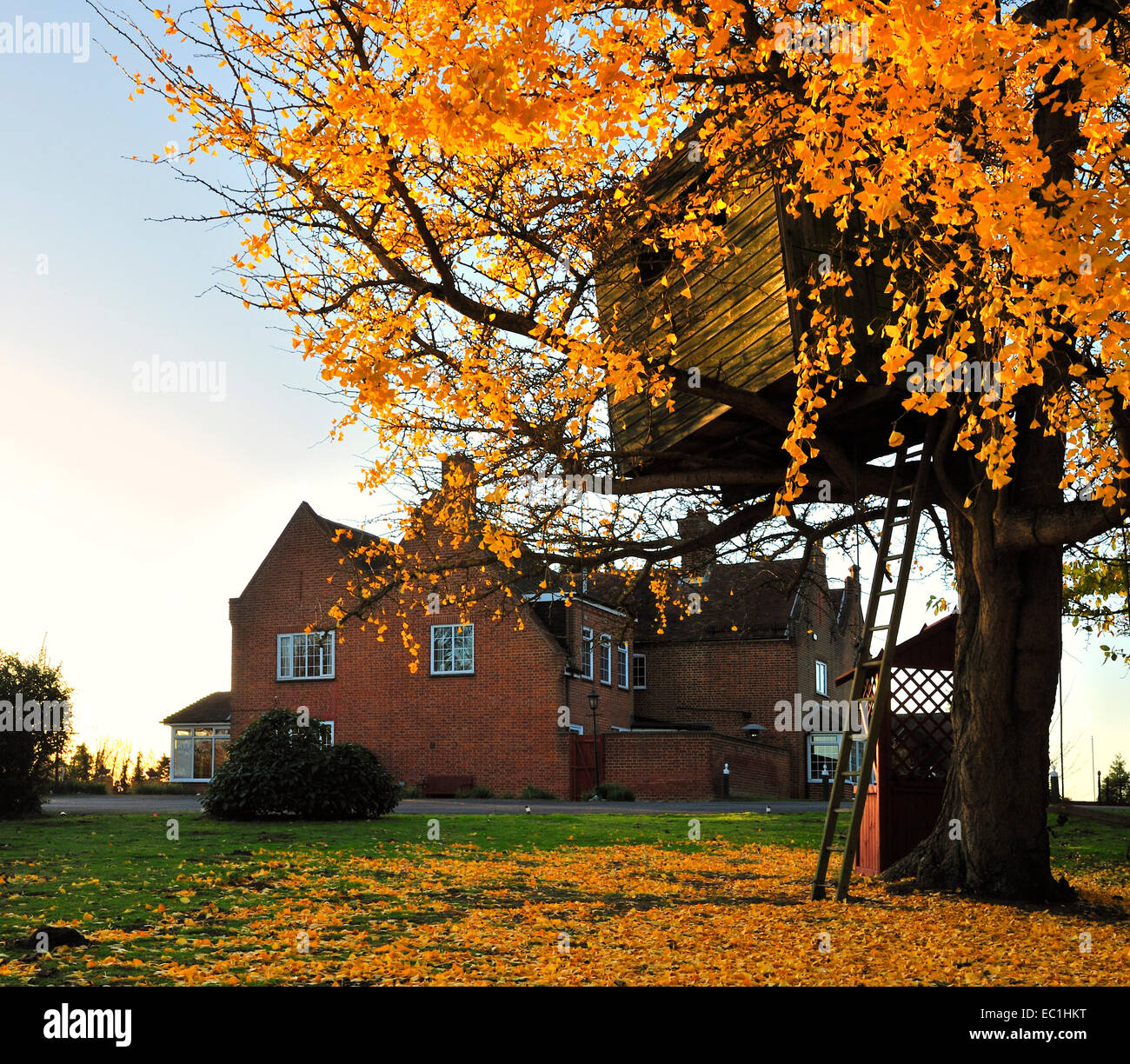 Cobtree Manor, Dingley Dell, Allington, Maidstone,Kent. A once