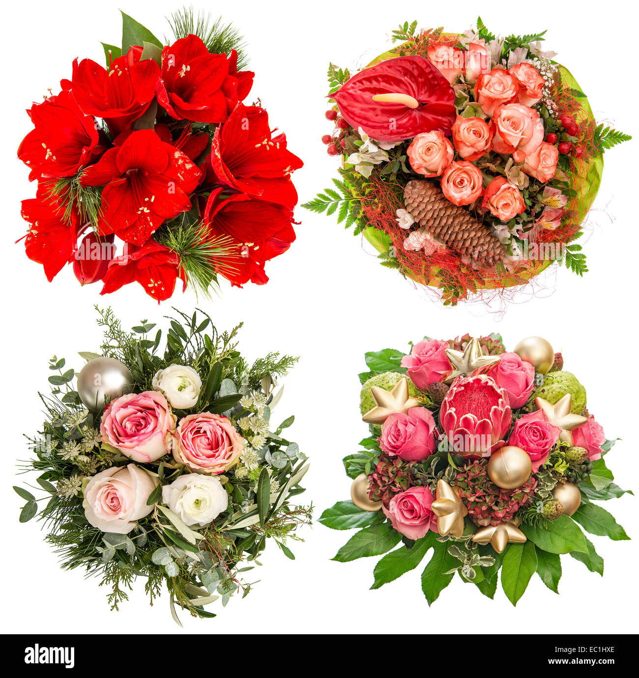 Flowers for Winter Holidays Christmas and New Year. Roses, amaryllis, protea isolated on white background Stock Photo