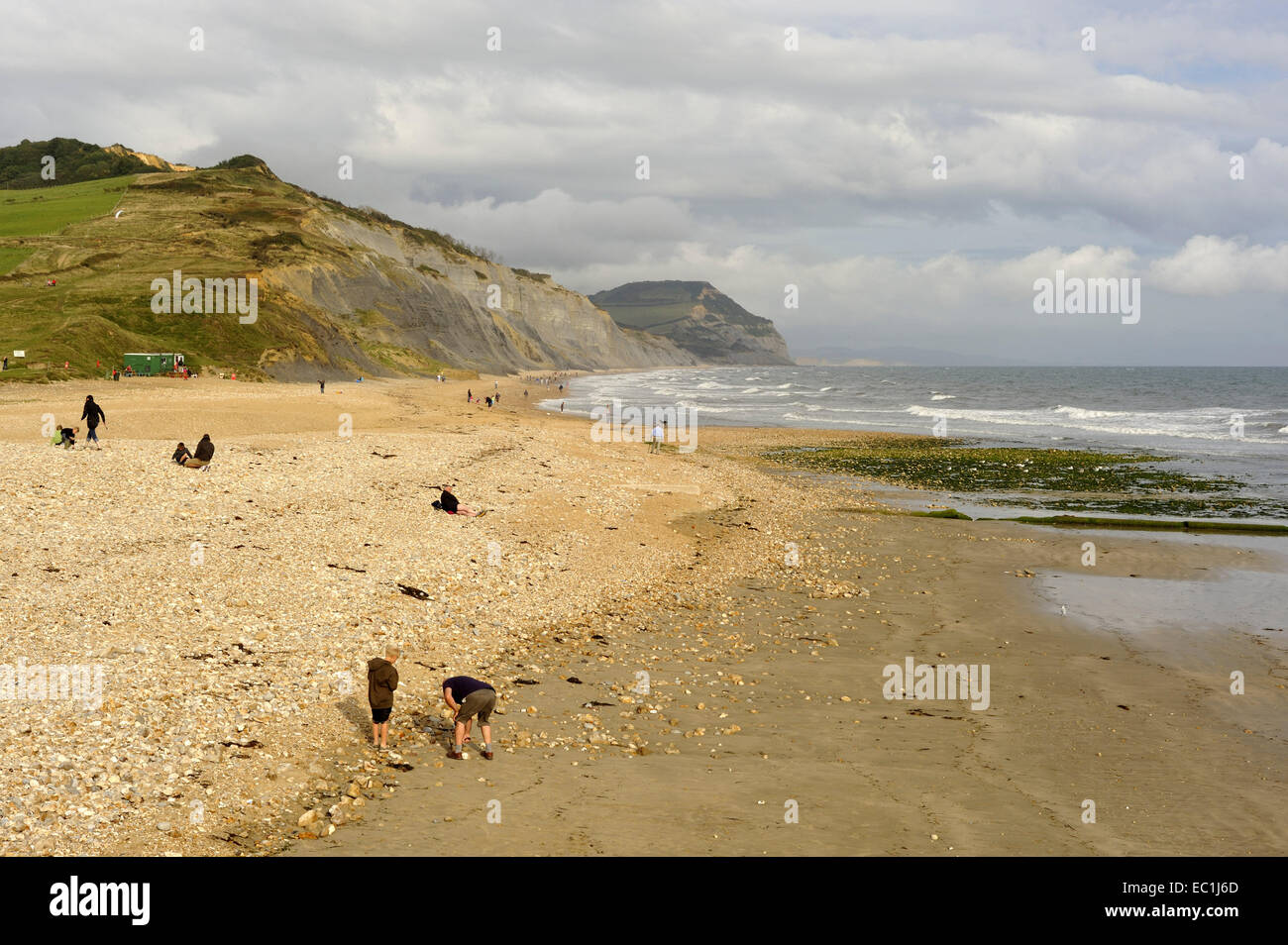 Charmouth beach, fossil hunters: the centre of the Jurassic Coast where tourists hammer open rocks and pebbles from the cliffs Stock Photo