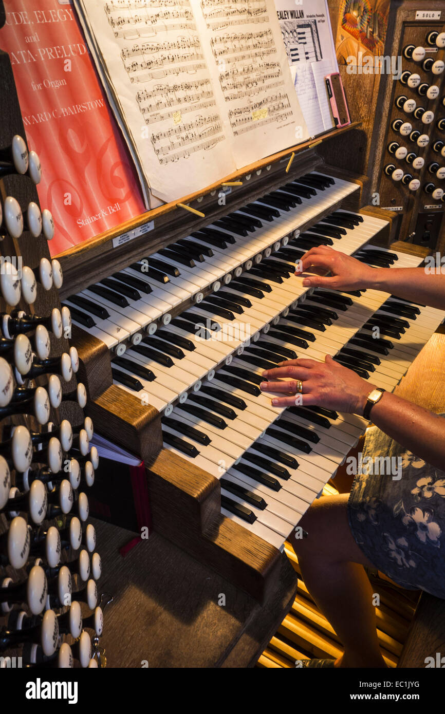 Organ Ranks Guildford Cathedral, the organ. 66 manual ranks and 4,398 pipes ...