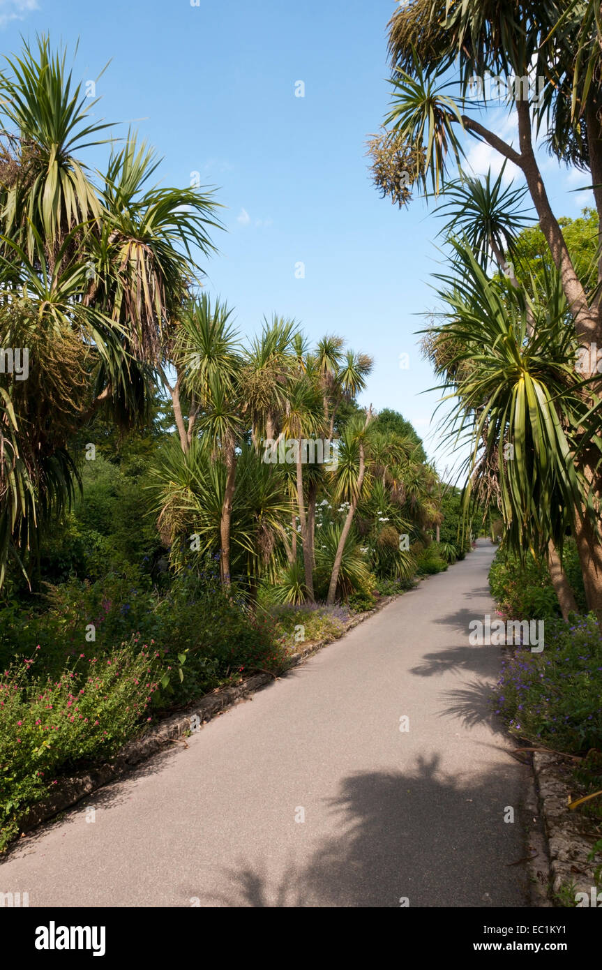 A path through Ventnor Botanic Garden on the Isle of Wight. Stock Photo