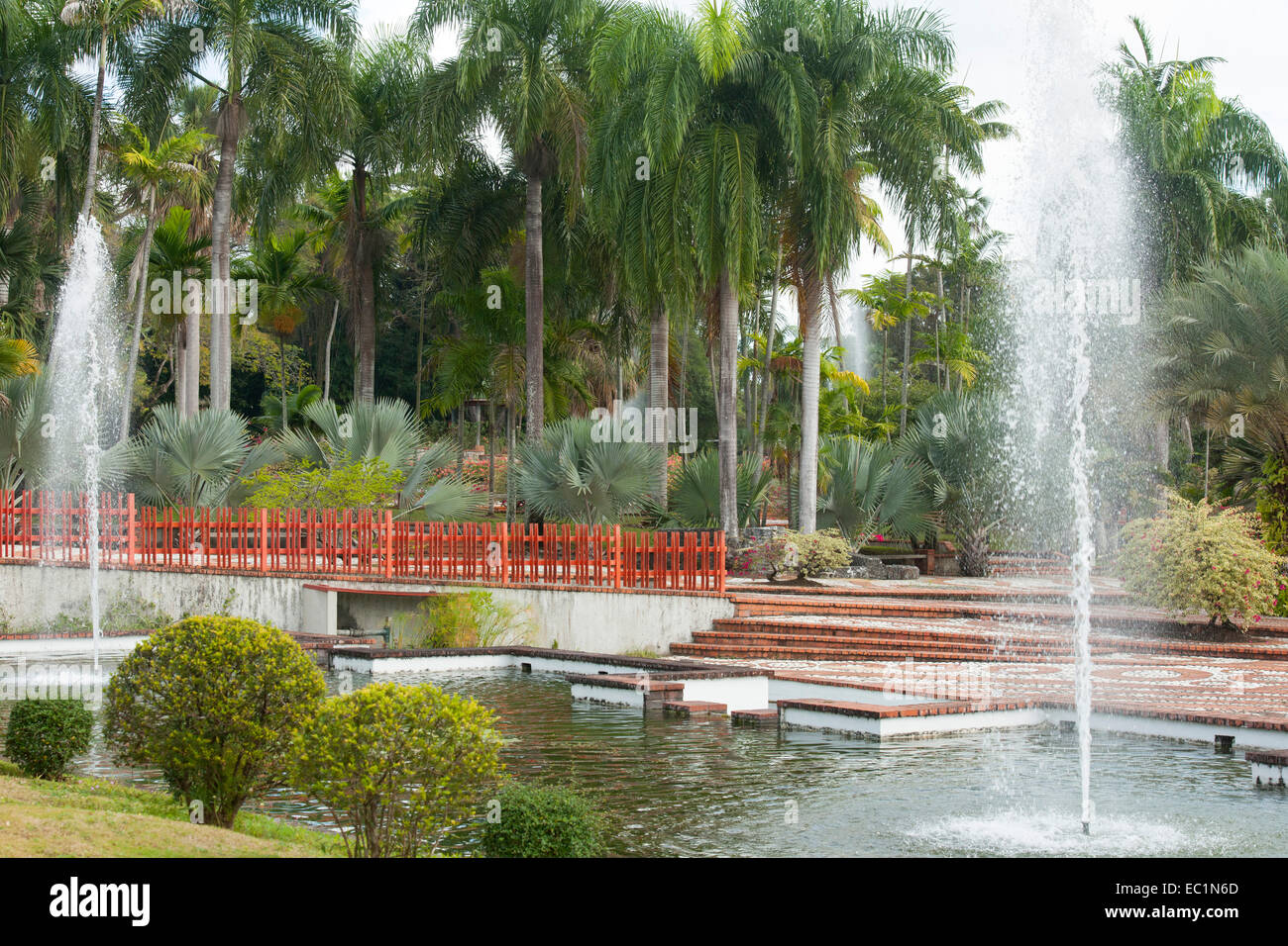 Botanischer garten santo domingo hires stock photography and images