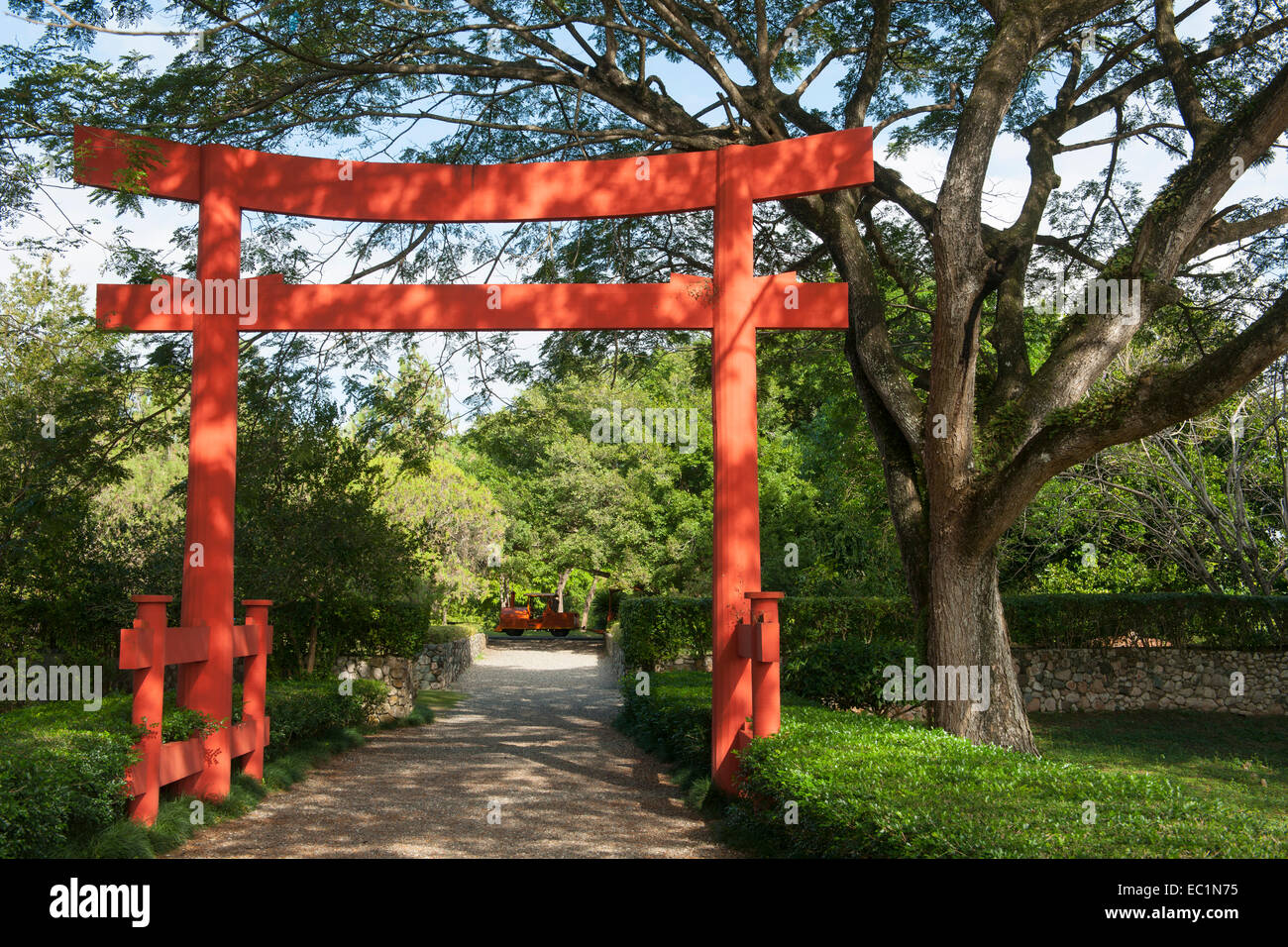 Botanischer garten santo domingo hires stock photography and images