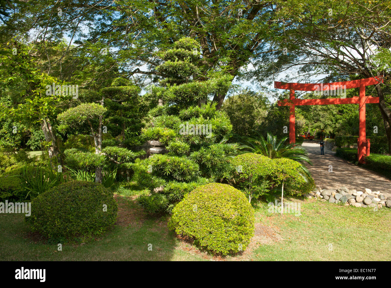 Dominikanische Republik, Santo Domingo, Jardin Botanico Rafael Moscoso, Stock Photo