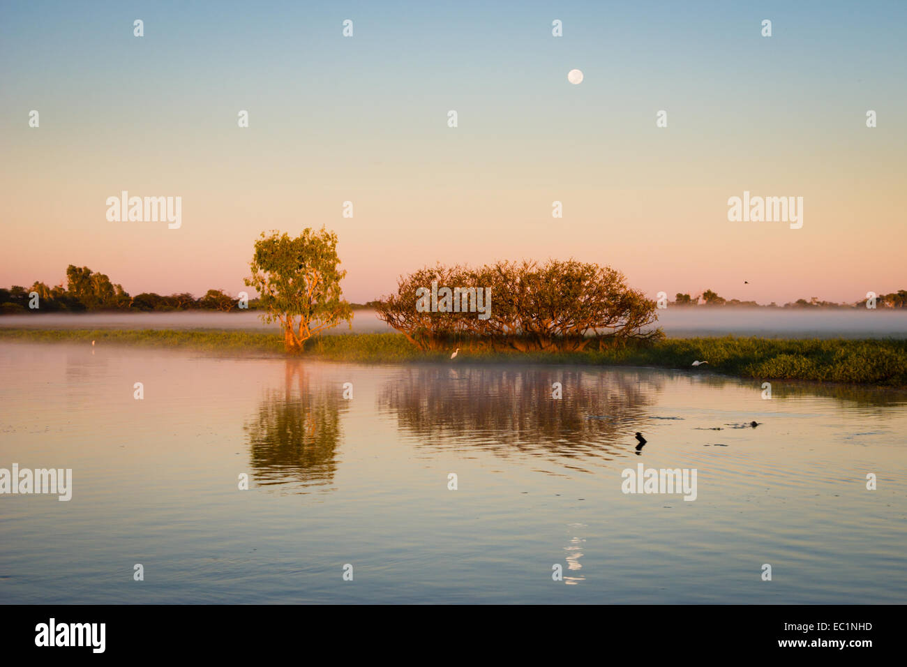 Dawn at Yellow Water billabong, Kakadu, Australia Stock Photo