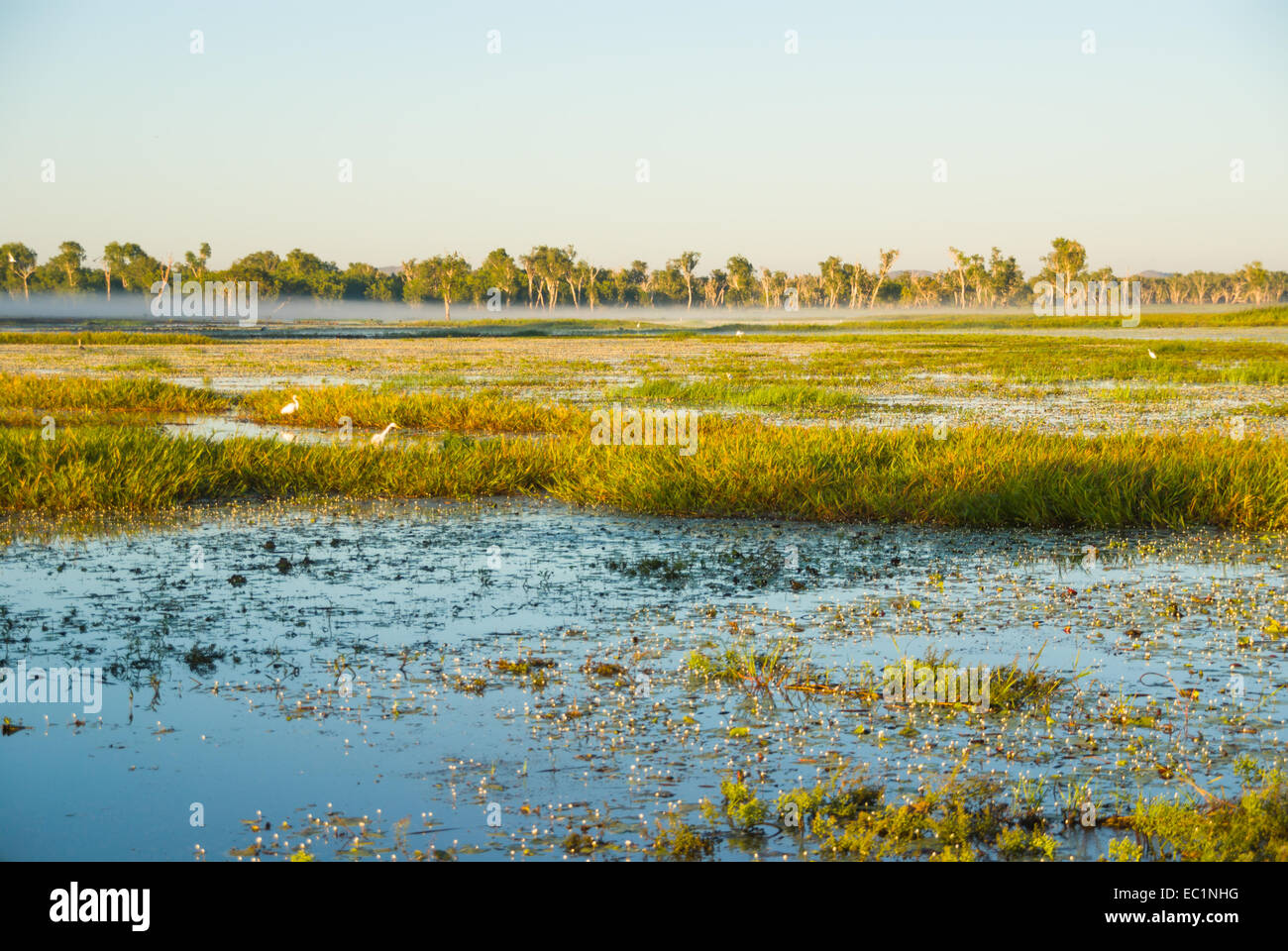 Morning view of Yellow Water billabong, Kakadu, Australia Stock Photo ...