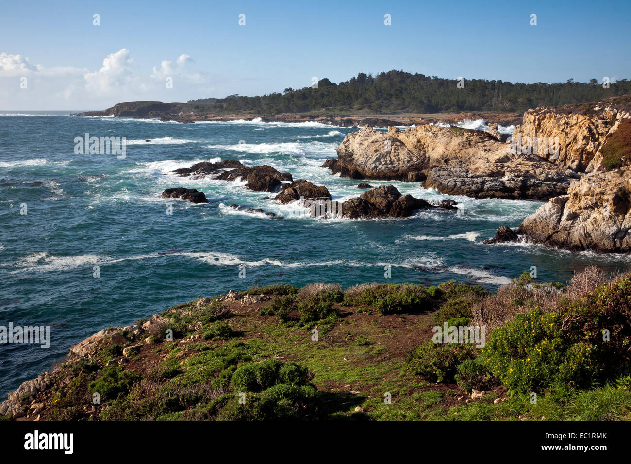 CA02463-00...CALIFORNIA - View north along the coastline from the Bird Island Trailhead at Point Lobos State Reserve. Stock Photo