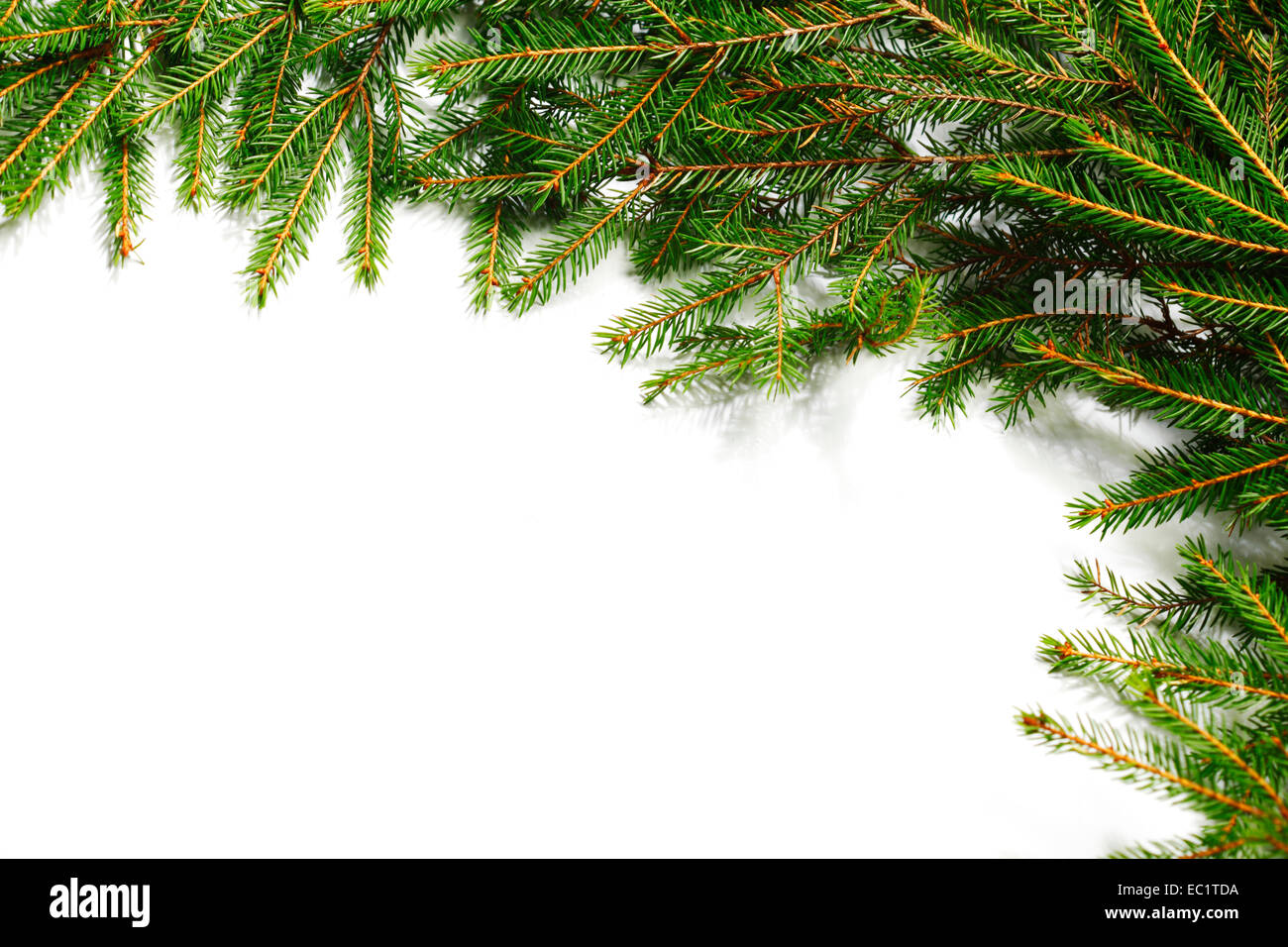Christmas tree fir frame isolated on white background Stock Photo - Alamy