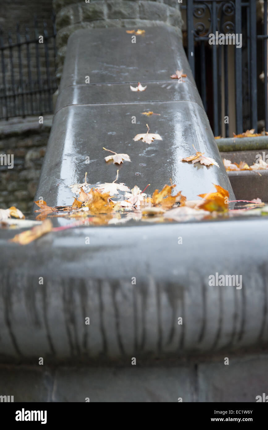 Autumn leaves on stone balustrade Stock Photo