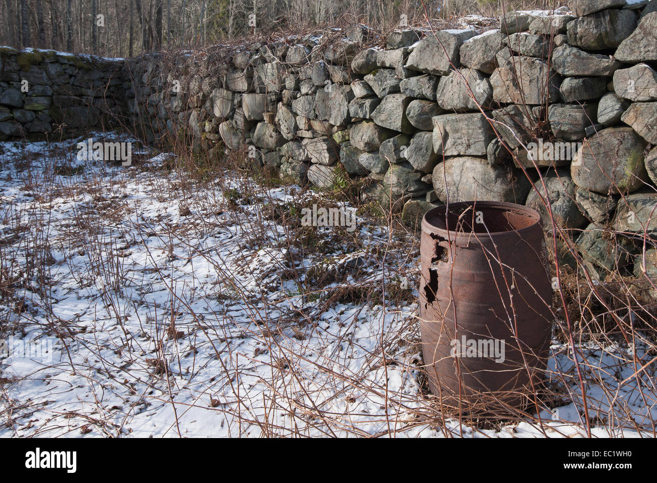 Cellar Hole at the Quabbin Reservoir, Gate 40, the Carter Home