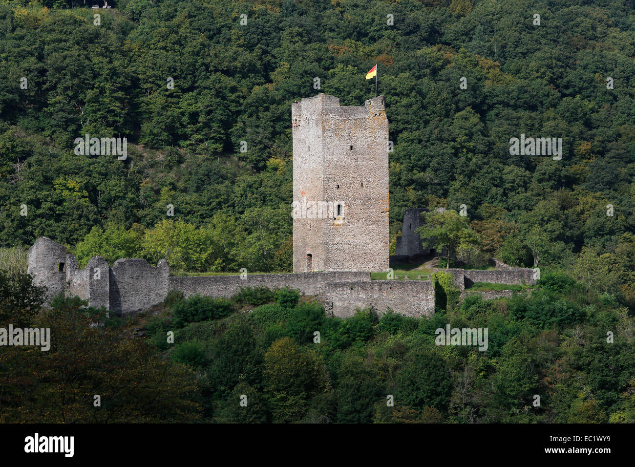 Oberburg castle, Electorate of Trier, medieval Manderscheider Burgen castles, Volcanic Eifel, Rhineland-Palatinate, Germany Stock Photo