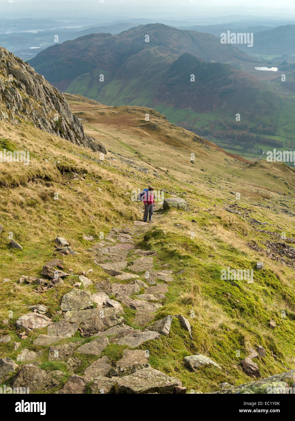 Lone female hill walker high on footpath ascending Harrison Stickle, Great Langdale, Lake District, Cumbria, England, UK. Stock Photo