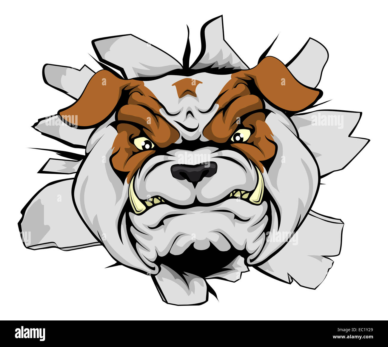 Bulldog mascot breakthrough concept of a bull sports mascot or animal character ripping through a wall Stock Photo