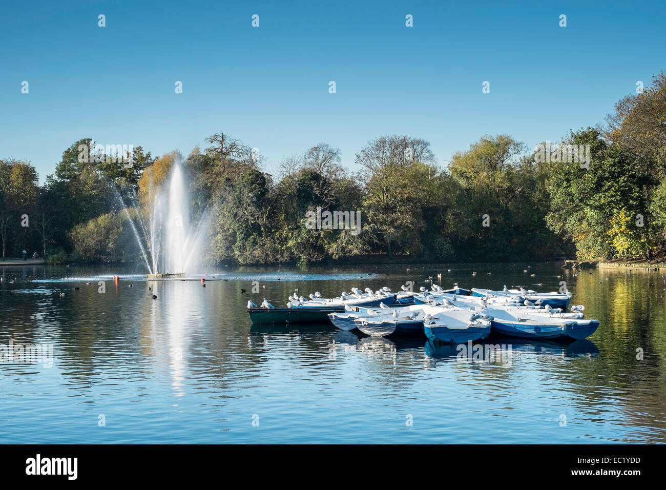 pretty scenic boating lake pond park boats London Stock Photo Alamy