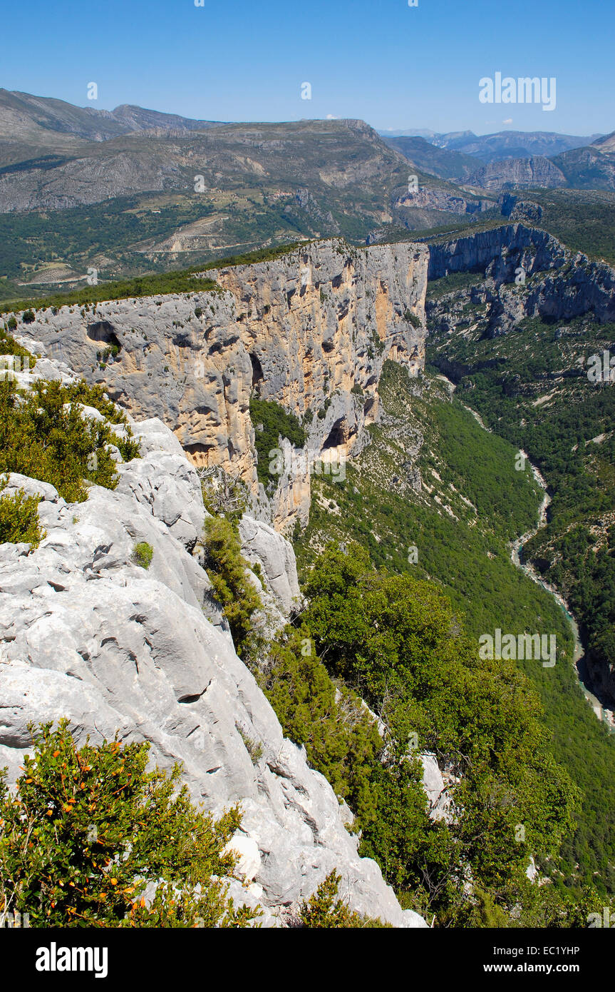 Canyon of the Verdon River, Verdon Regional Natural Park, Provence, Gorges du Verdon, Provence-Alpes-Cote-d'Azur, France, Europe Stock Photo