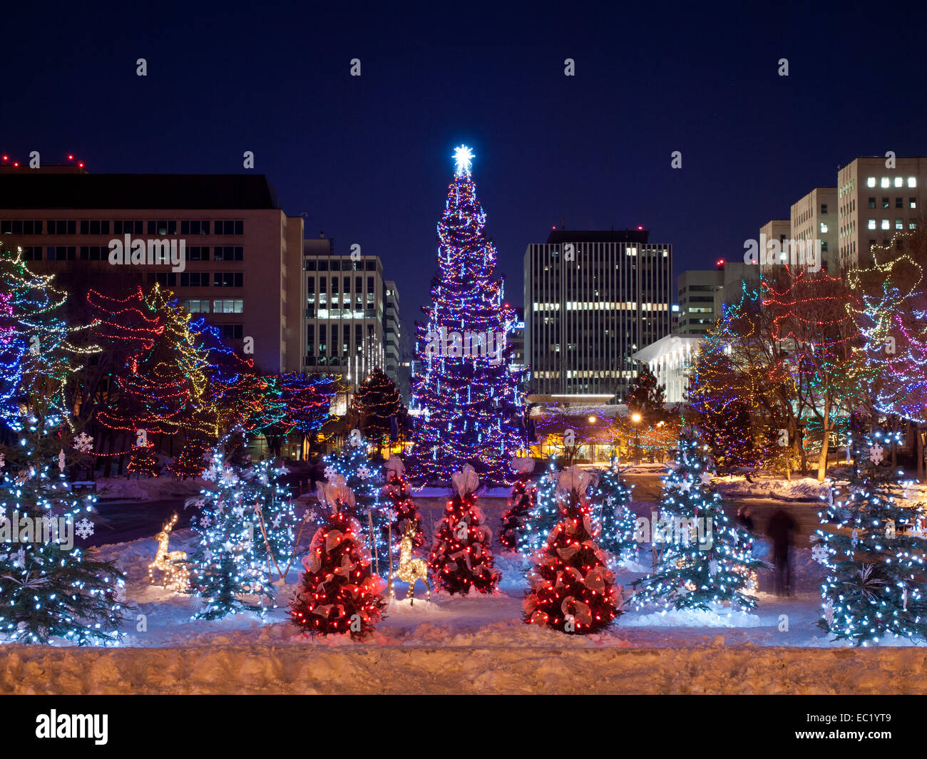 The main Christmas tree and small Christmas trees at the Alberta Legislature Grounds in Edmonton, Alberta, Canada. Stock Photo