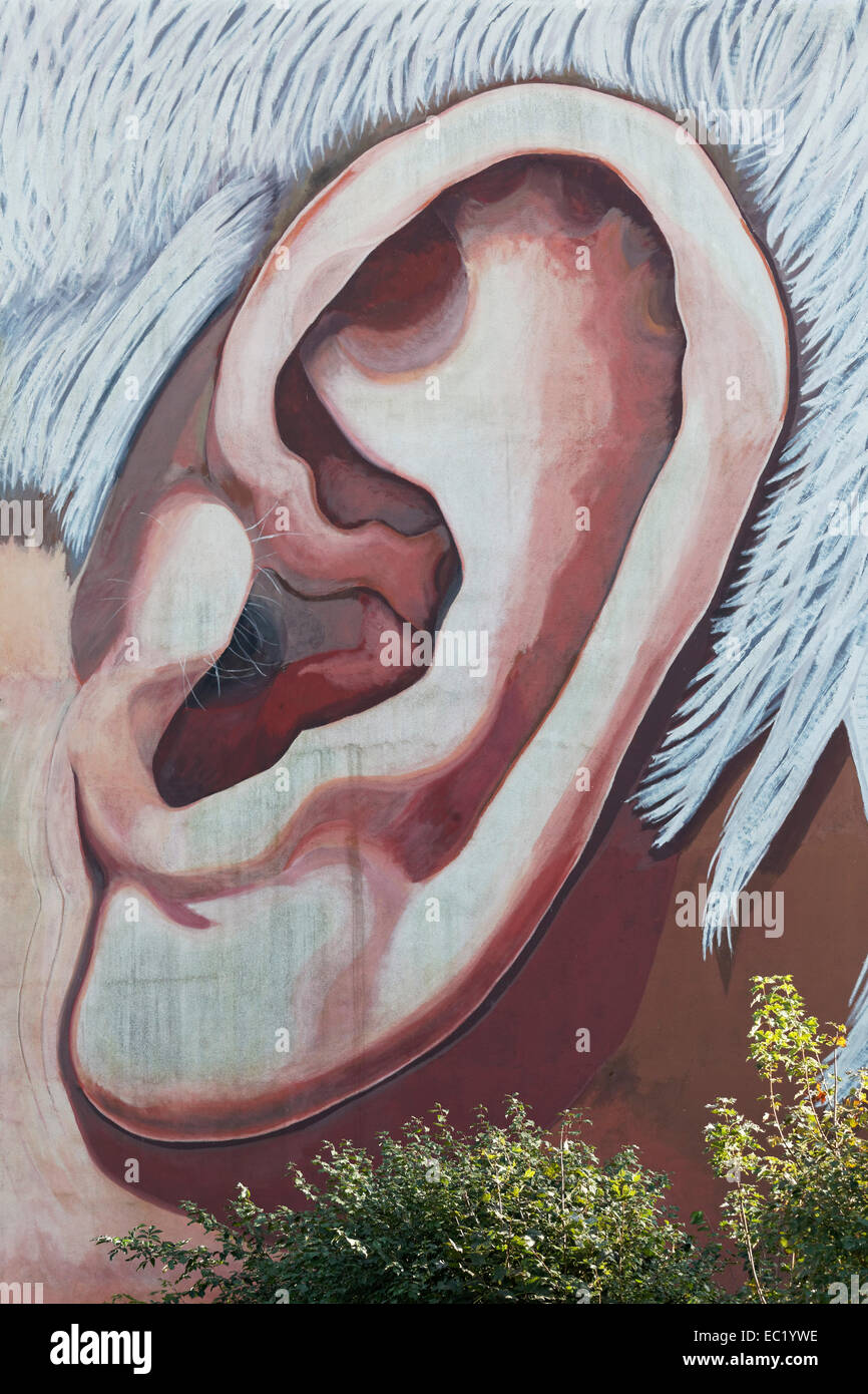 Oversized human ear, mural on a house wall, street art, Düsseldorf, North Rhine-Westphalia, Germany Stock Photo