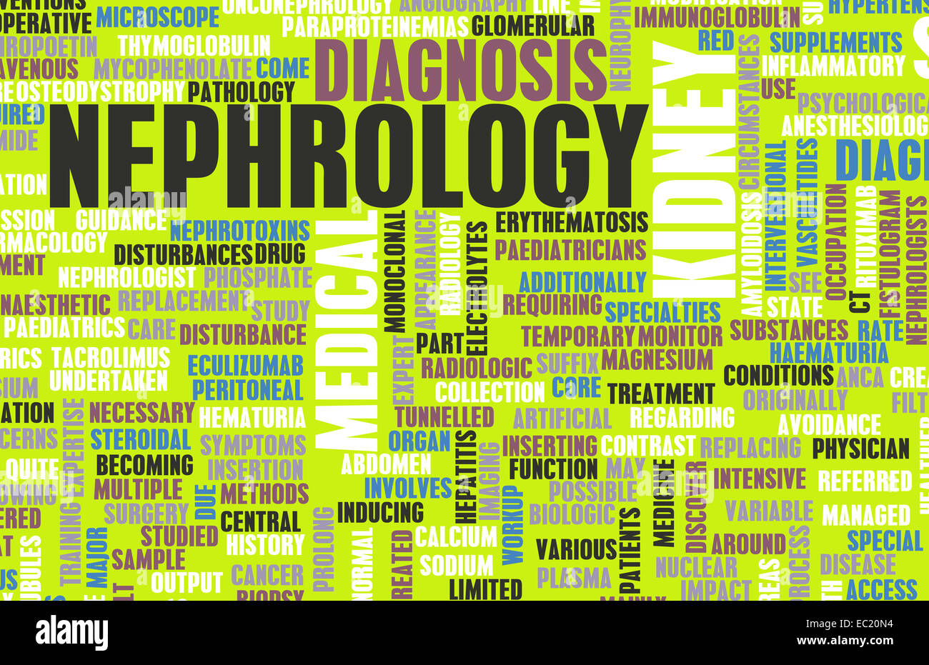 Nephrology or Nephrologist Medical Field of Science Art Stock Photo
