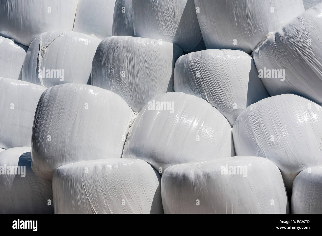 Hay bales in plastic wrap, Bavaria, Germany Stock Photo