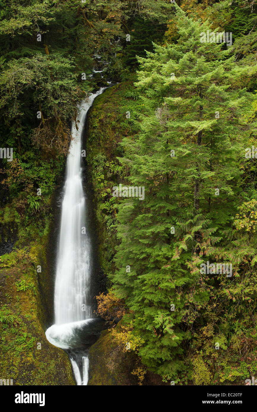 Waterfall at the Eagle Creek Trail, Columbia River Portland
