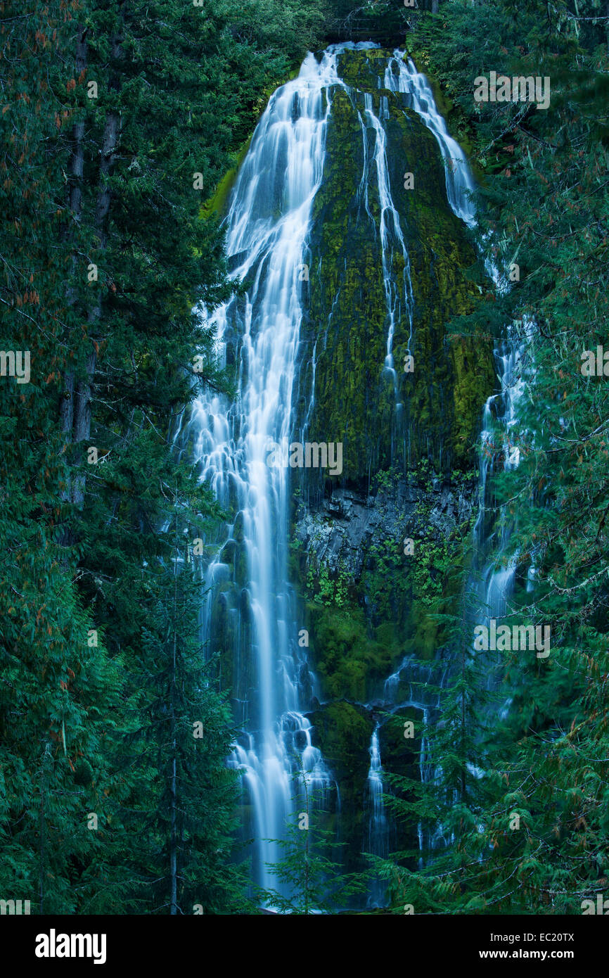Proxy Falls, waterfall on the McKenzie River, Eugene, Oregon, United States Stock Photo