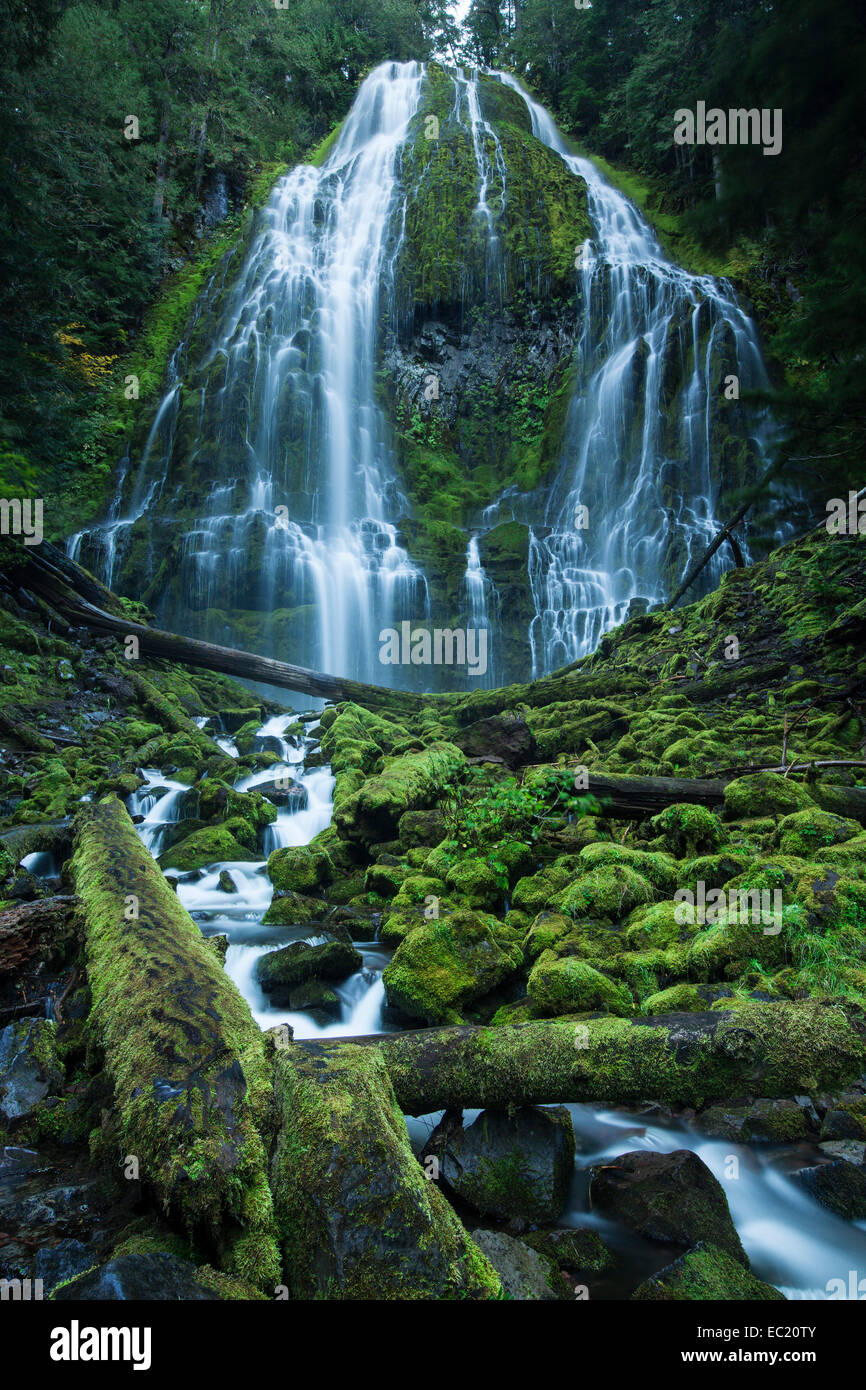 Proxy Falls, waterfall on the McKenzie River, Eugene, Oregon, United States Stock Photo
