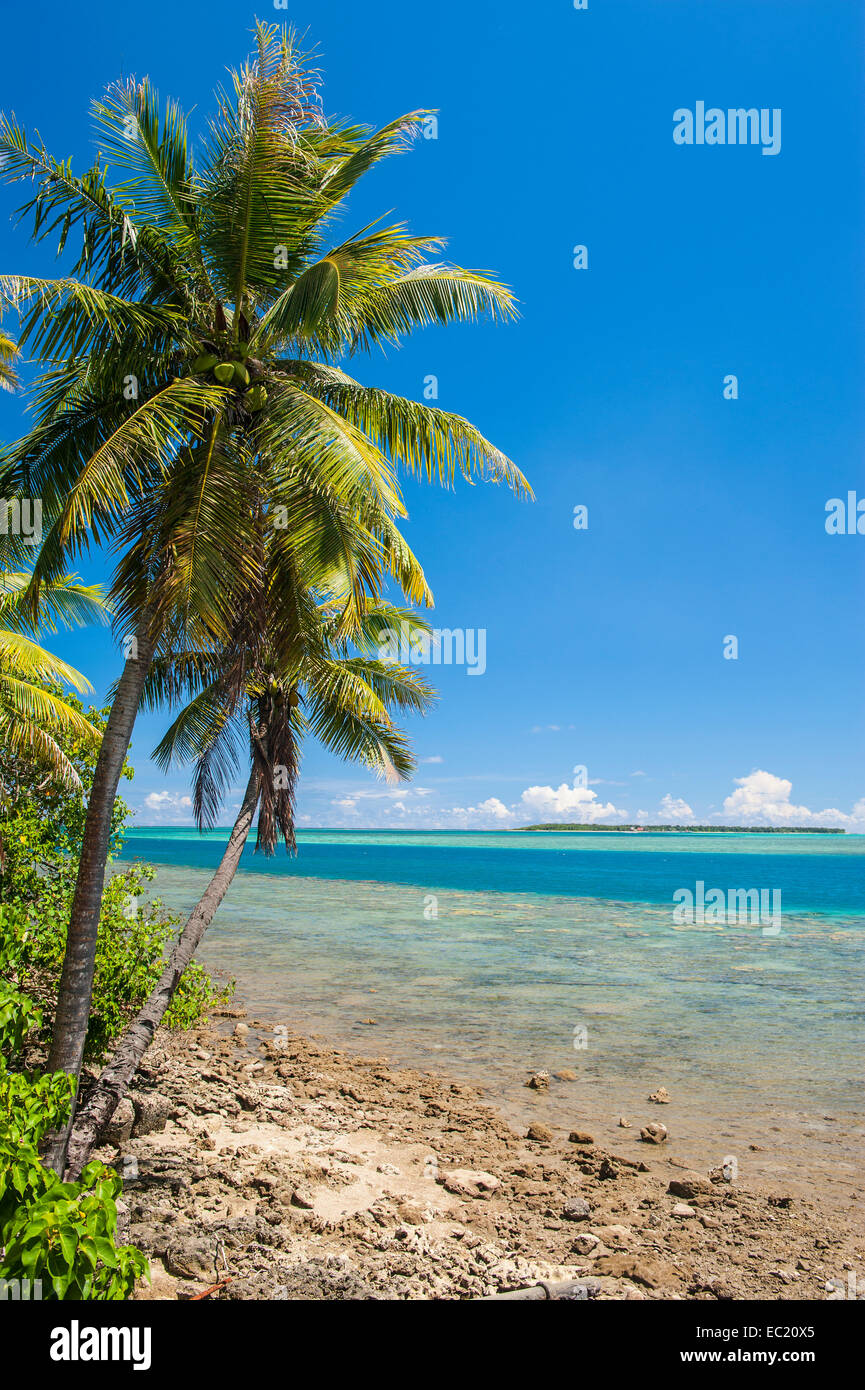 Coast and coral reef, Cocos Lagoon, Merizo, Guam, US Territory, Pacific Stock Photo