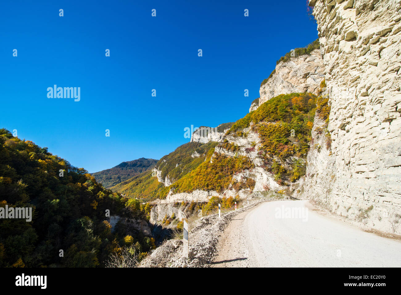 Road through a gorge on the Argun river, mountains of Chechnya, Caucasus, Russia Stock Photo