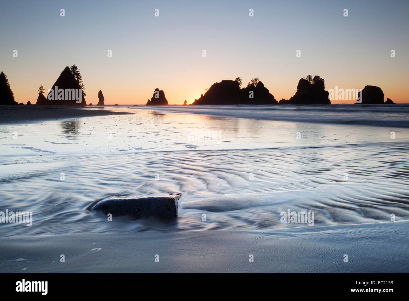 Shi Shi Beach in Olympic National Park, Forks, Washington, United States Stock Photo