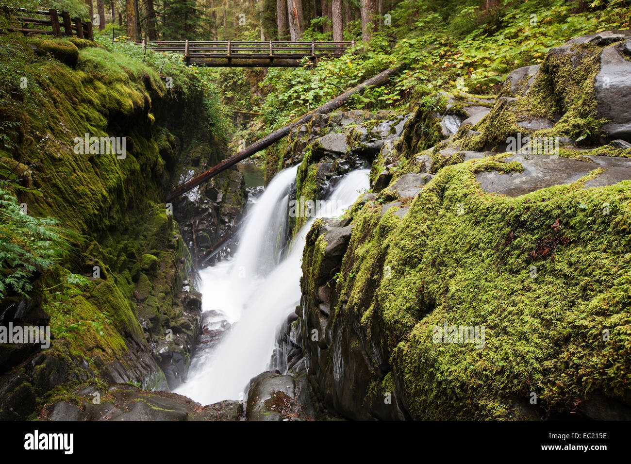 Sol Duc Falls in the Sol Duc River Valley, Sol Duc Valley, Washington