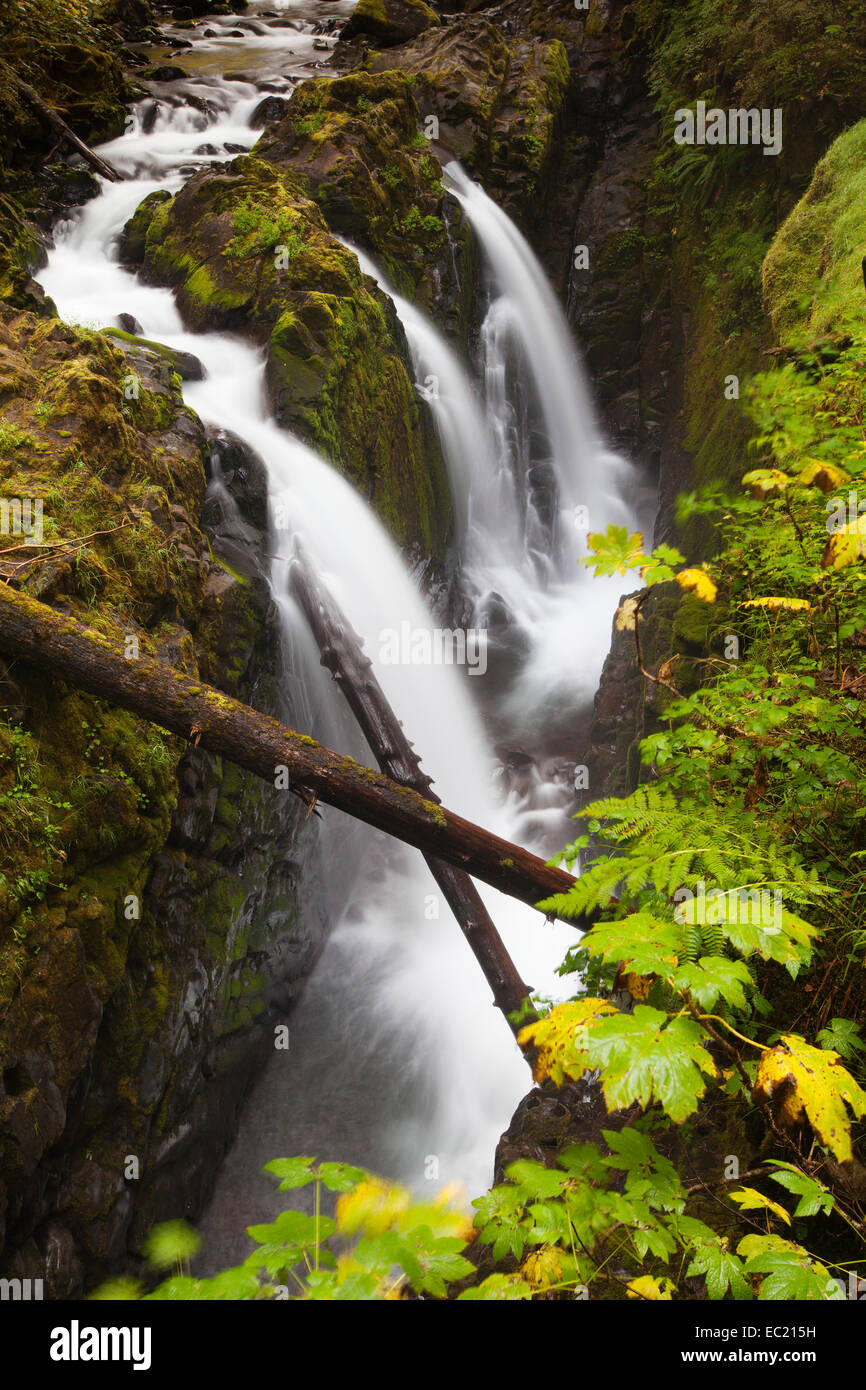 Sol Duc Falls in the Sol Duc River Valley, Sol Duc Valley, Washington