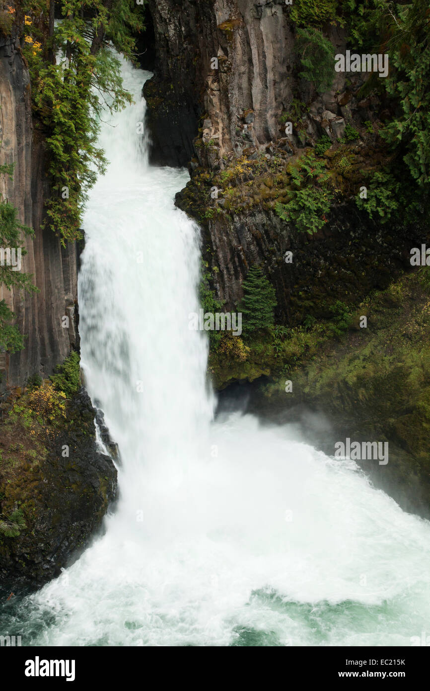 Toketee Falls, waterfall, Roseburg, Oregon, South Cascades, Cascade Range, United States Stock Photo