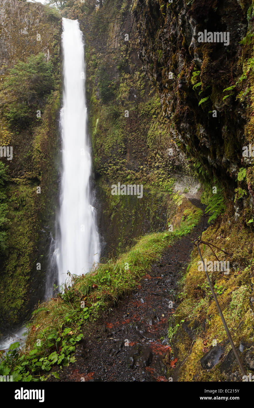 Tunnel Falls, waterfall in the Columbia River Portland, Oregon