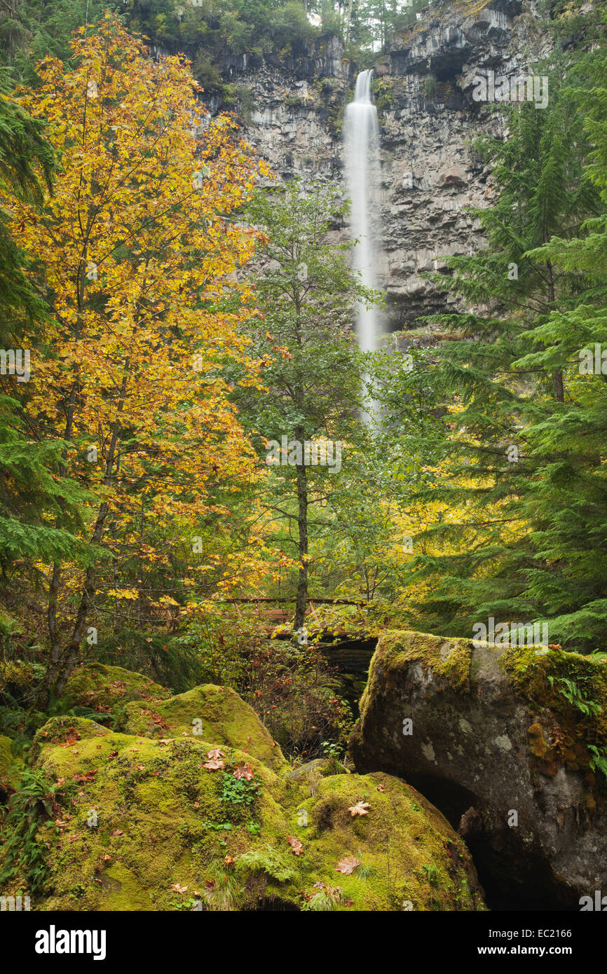 Watson Falls, waterfall in the Southern Cascades, Cascade Range