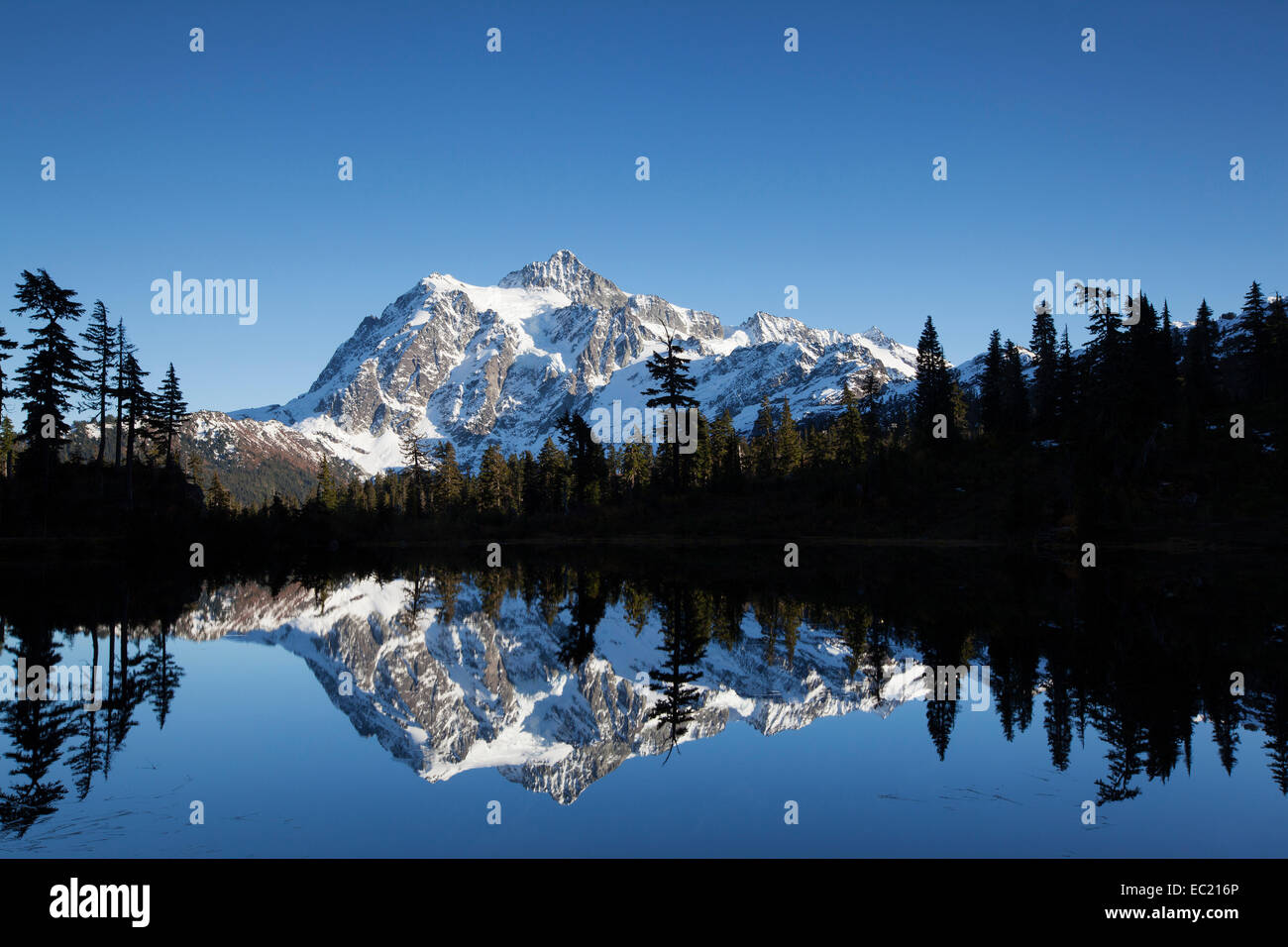 Picture Lake and Mount Shuksan in the Northern Cascades, Cascade Range, Rockport, Washington, United States Stock Photo