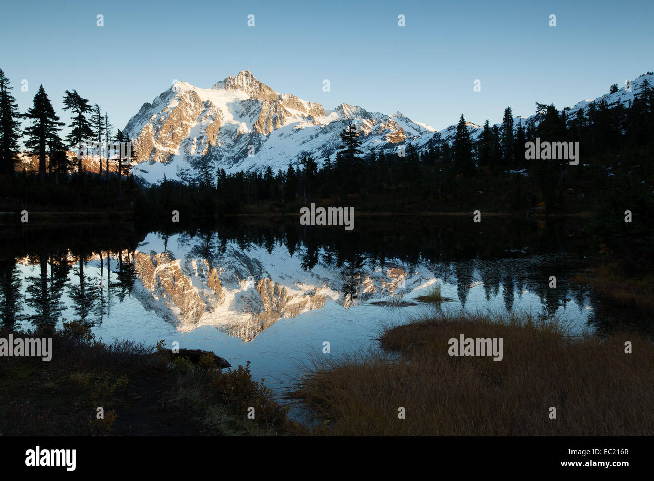 Picture Lake and Mount Shuksan in the Northern Cascades, Cascade Range, Rockport, Washington, United States Stock Photo