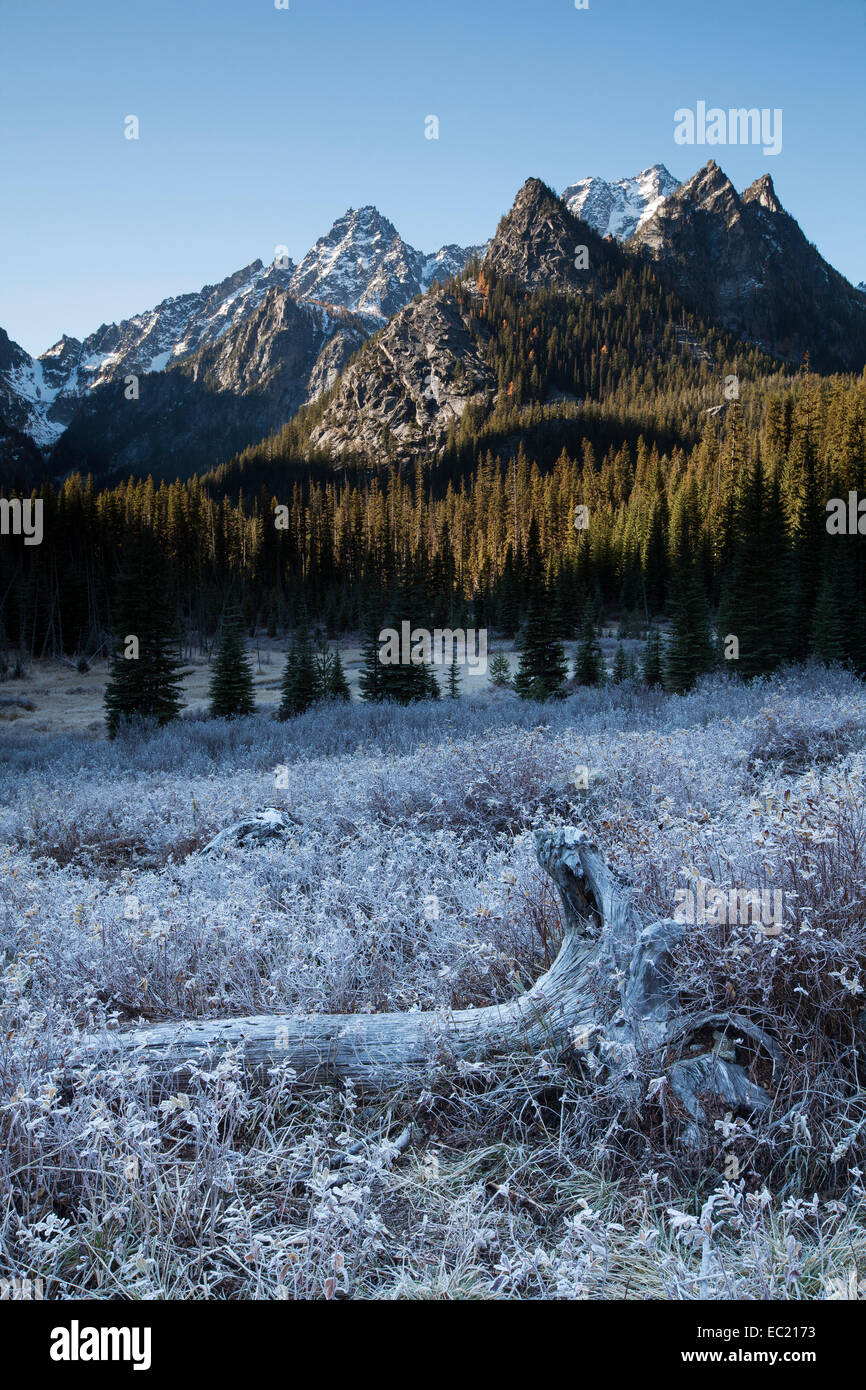 Hoar frost on the Stuart Lake Trail in The Enchantments, Washington, United States Stock Photo