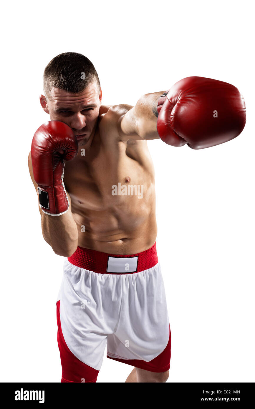 Professionl boxer is isolated on white Stock Photo - Alamy
