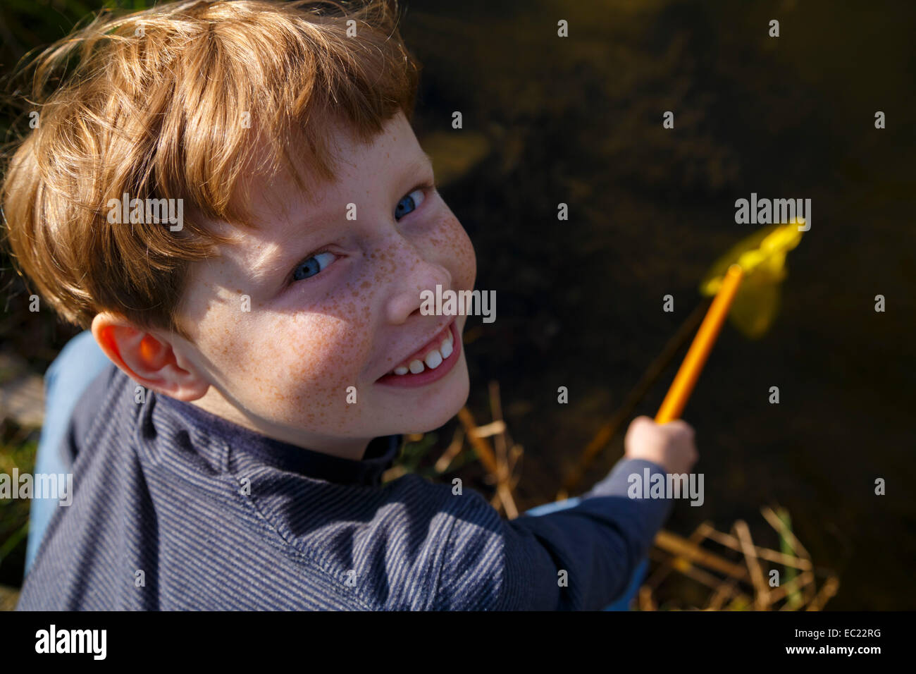 Boy on a lake with fishing net, Wandersleben, Thuringia, Germany Stock Photo