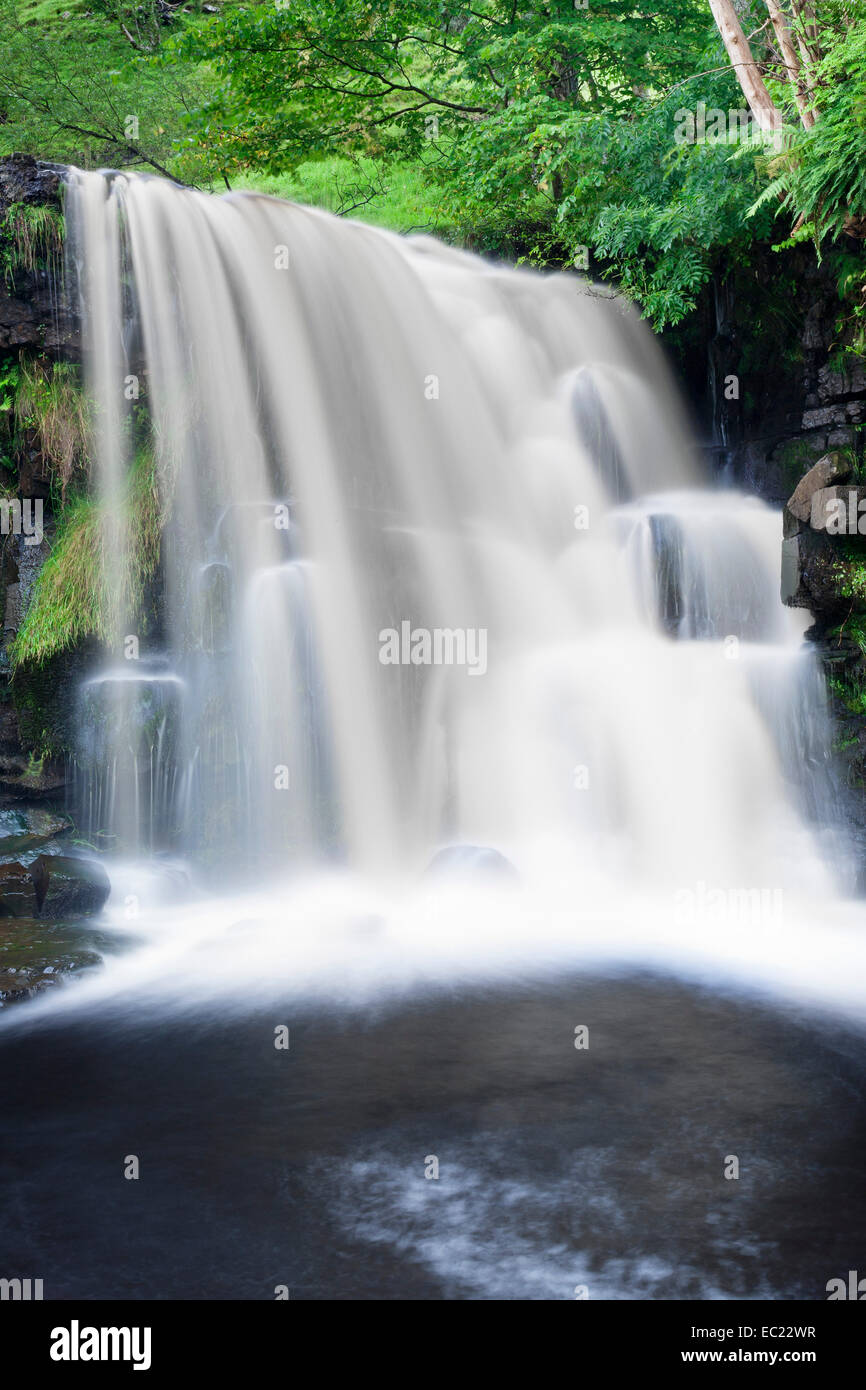 East Gill Force waterfall, Yorkshire Dales National Park, England, United Kingdom Stock Photo