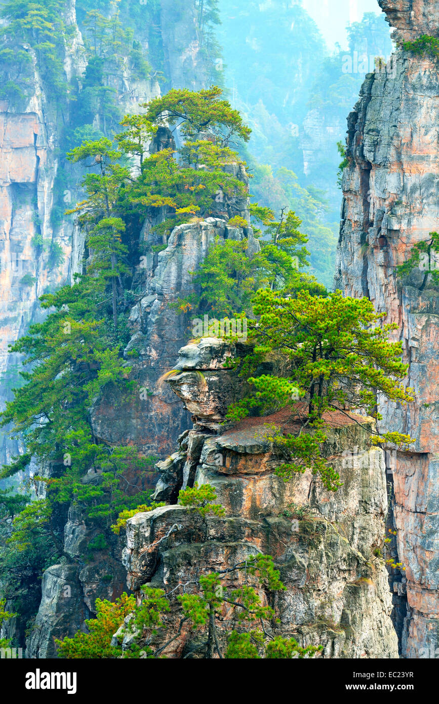 Avatar Mountains with vertical quartzsandstone pillars, Zhangjiajie National Forest Park, Hunan