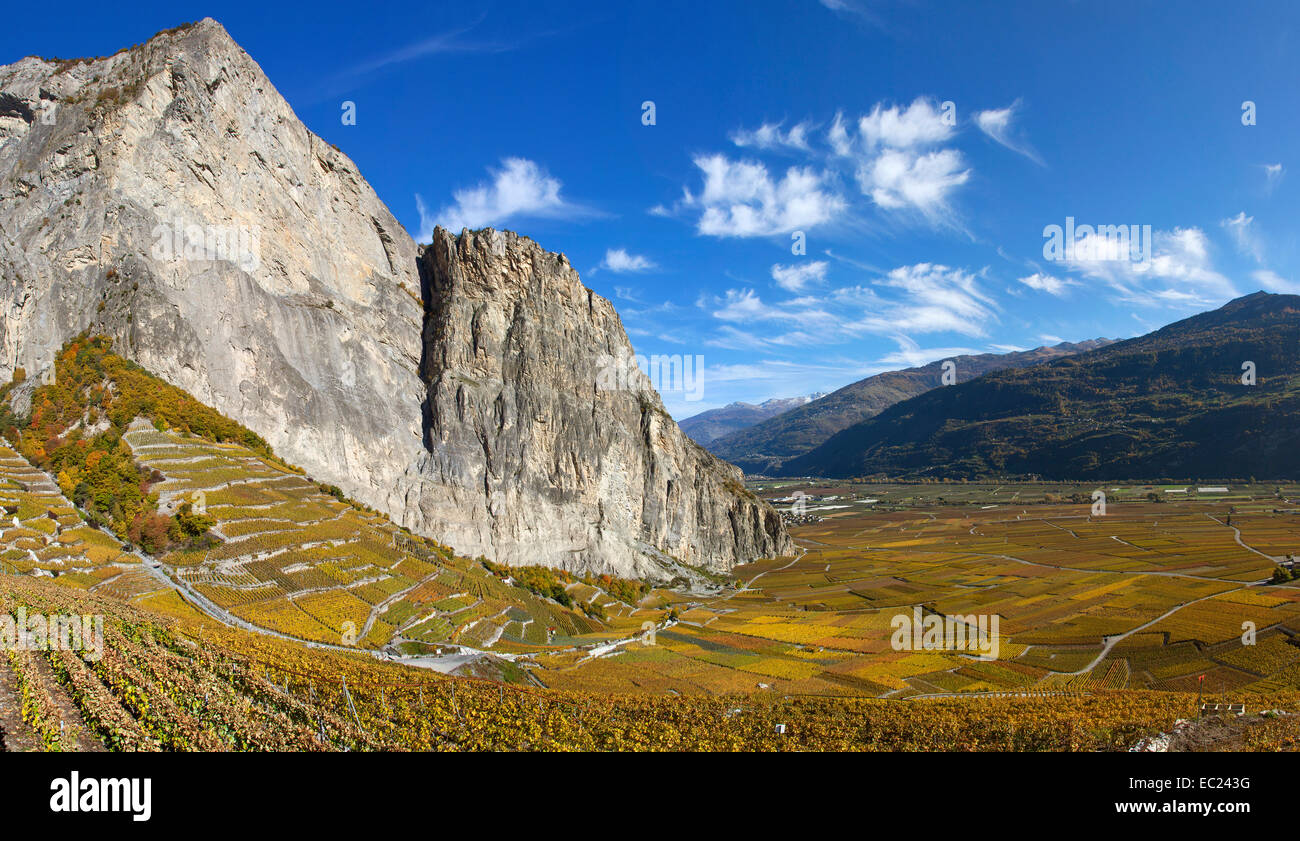 Valais Switzerland Vineyards Hi res Stock Photography And Images Alamy valais-switzerland-vineyards-hi-res-stock-photography-and-images-alamy