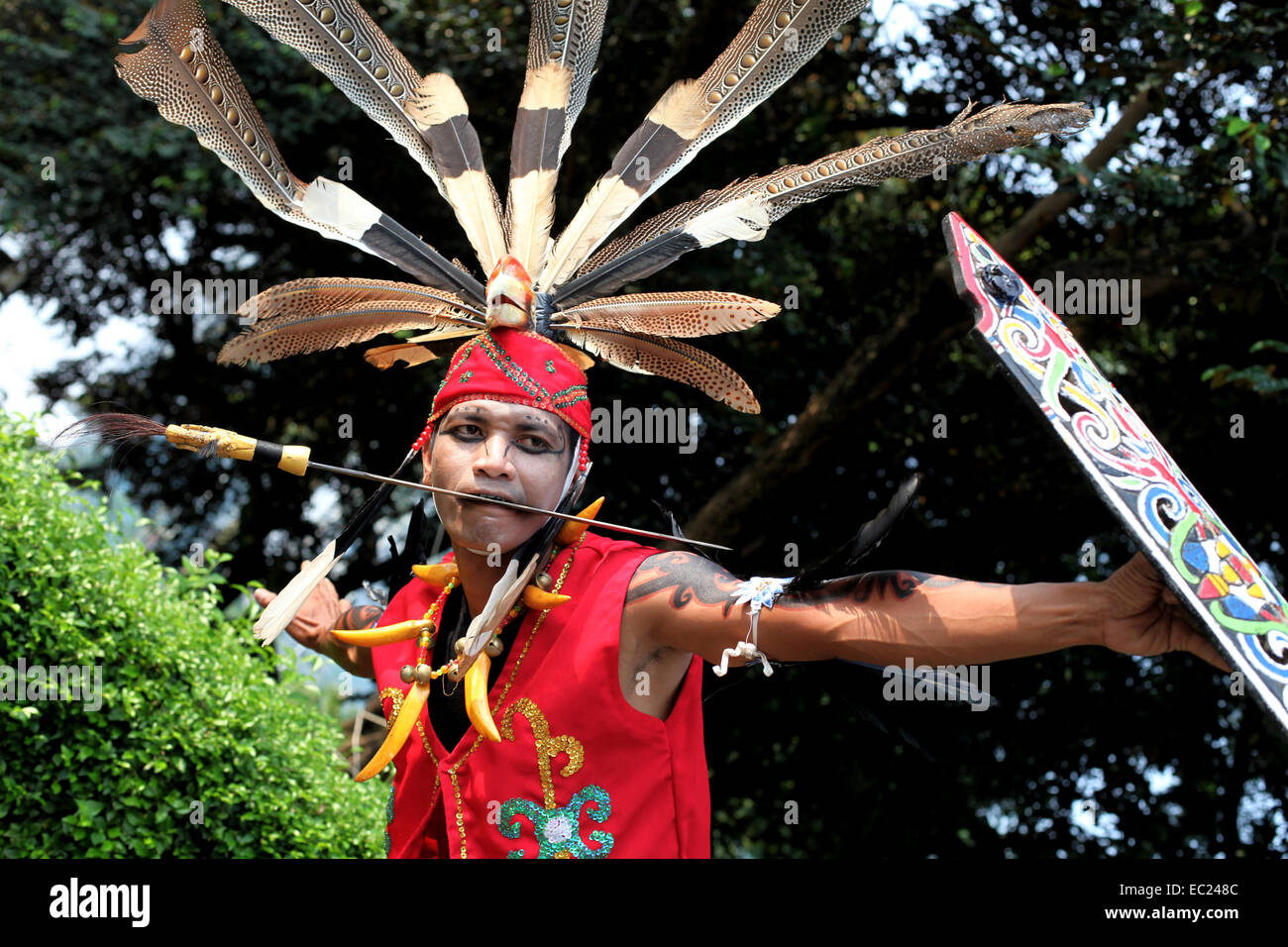 Dayak Culture Stock Photo