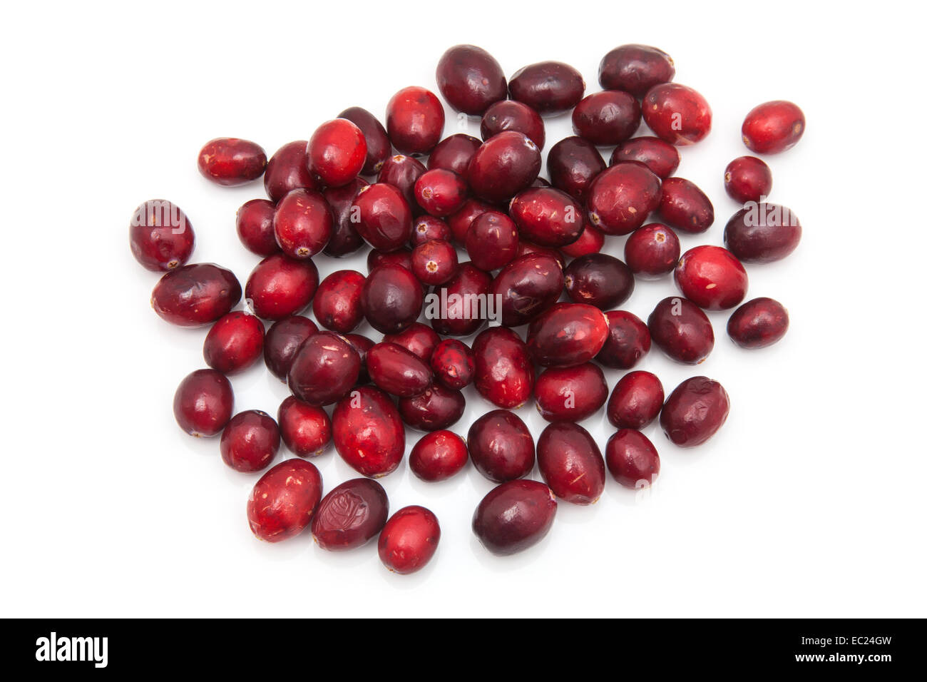 Fresh cranberries or cranberry fruit isolated on a white studio