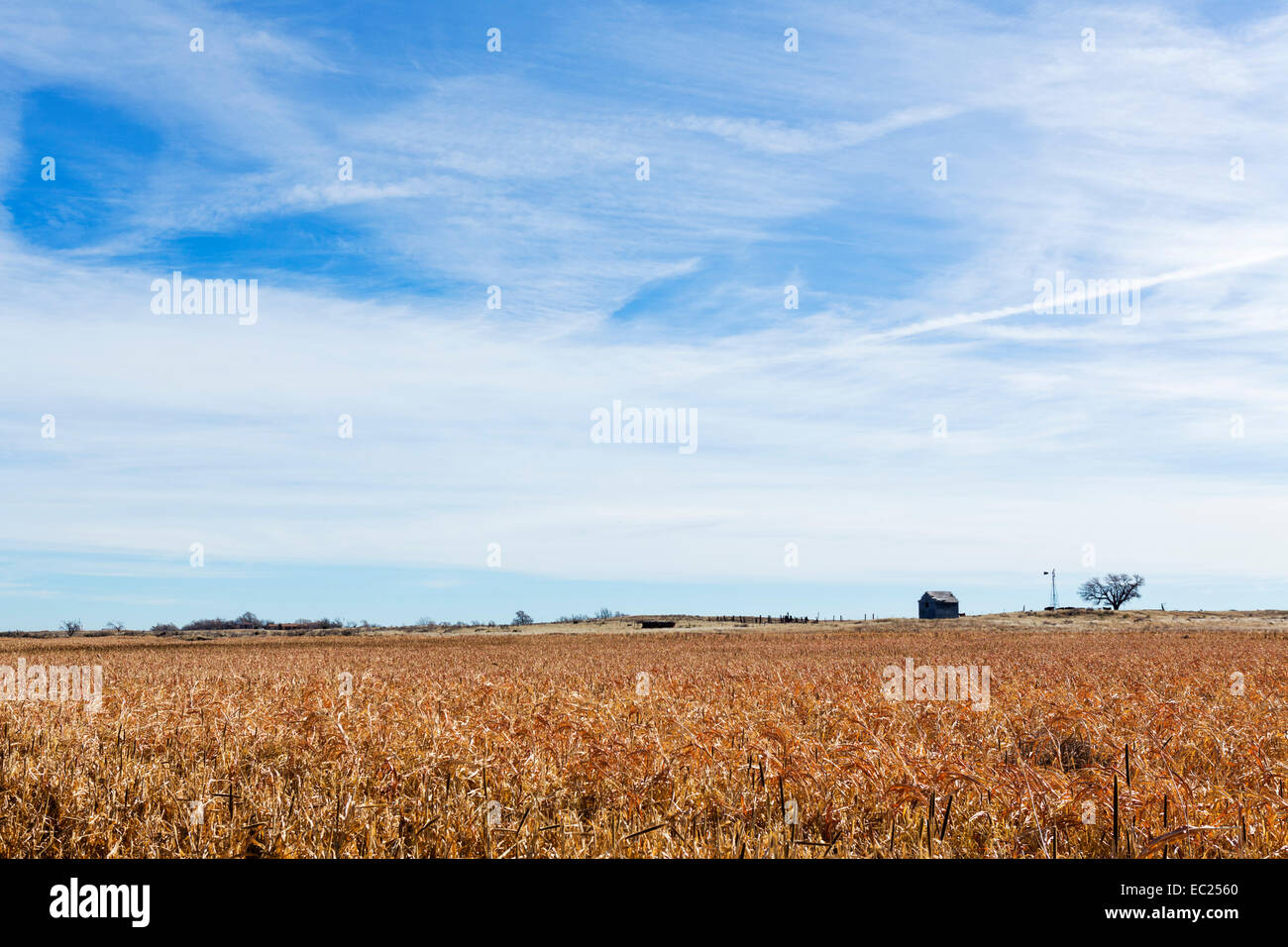 Countryside near Shattuck, Ellis County, Oklahoma, USA Stock Photo